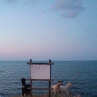 Слава Вангелова