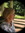 Kay Moser | 4 comments