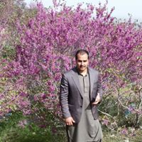Ajmal Hanzal