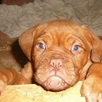 Anouska Gledhill-Mcclements