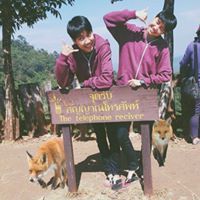 ต๋อง' งง