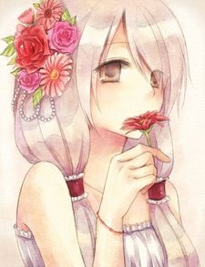 Static Libra