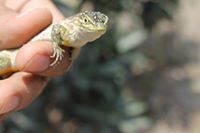 Eduardo Almora García