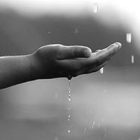 فاتنة الحرف