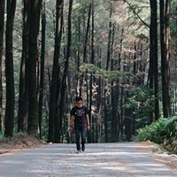 Robin Kurniawan