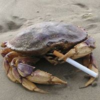 Rob Crabb