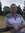 Brett Lawrence | 1 comments