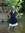 Laura Hahn (lauramatsonhahn) | 4 comments