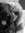 D.D. Ayres