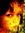 Willan Ellis (Willan_Ellis)