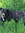 Patrick Vince (patrickbvince) | 134 comments