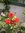 Farzana (username_awwthentic) | 9 comments