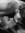 K.K. Moore | 15 comments