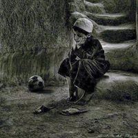 أحمد الراوي