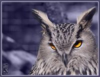 Андрей Скляр