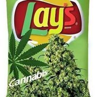 দিগন্ত ত্রিপাঠী