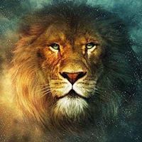 فہٰؤاد خلہٰيٰفہٰيٰ