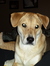 Hollygirl1030