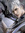 Wren (wrenreaders) | 143 comments
