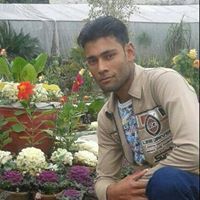Shoaib Anwar