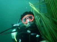 Abhinandan Srinivasan