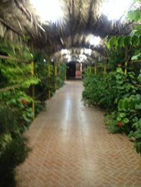 فيصل الشمري