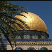 ايملي العسوله