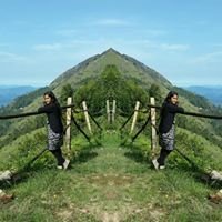 Subashini Ramamoorthy