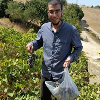 أمين أكركون