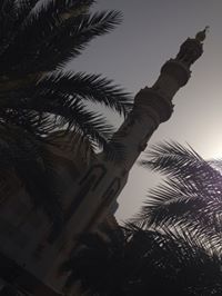 Abood Alrwe