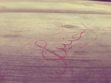 Haneen