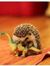 Hedgehog Power