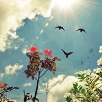 بندر الهاشمي