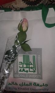 يونس القيسي