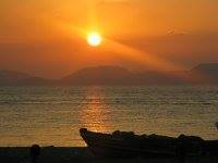 عبدالله الحربي