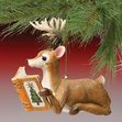 Reading Reindeer