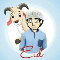 Moin Safeer