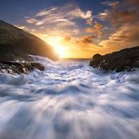 أحمد الشنبلي