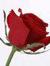 Navin K...