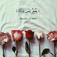 Manar Ahmed