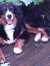 Lillian