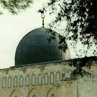 شريعتي جنتي