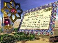 الصقر المصرى