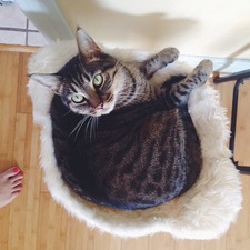 Ms. Carrillo 307 Carrillo