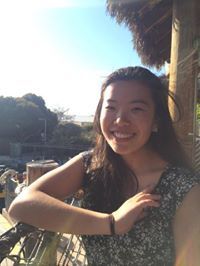 のーほーむ だんぼーる