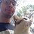 Dor Cohen