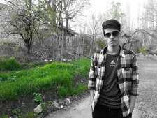 Shobeir safaie