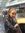 Andreea...