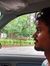 NarEsh ...