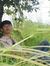 Aghis N...